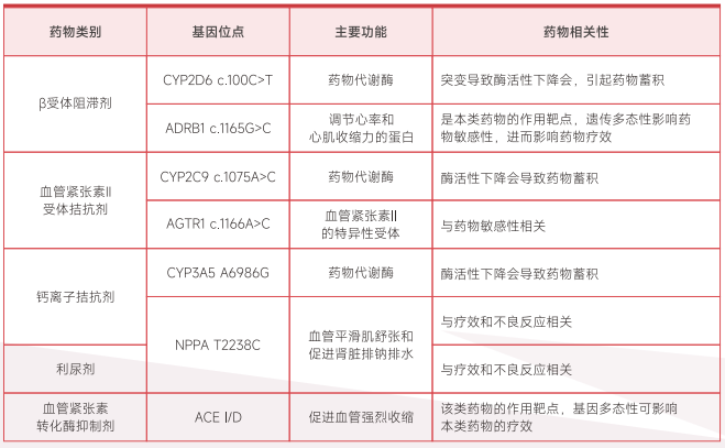 微信图片_2026-06-16_172611_206.png